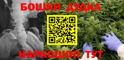 spice Гусев